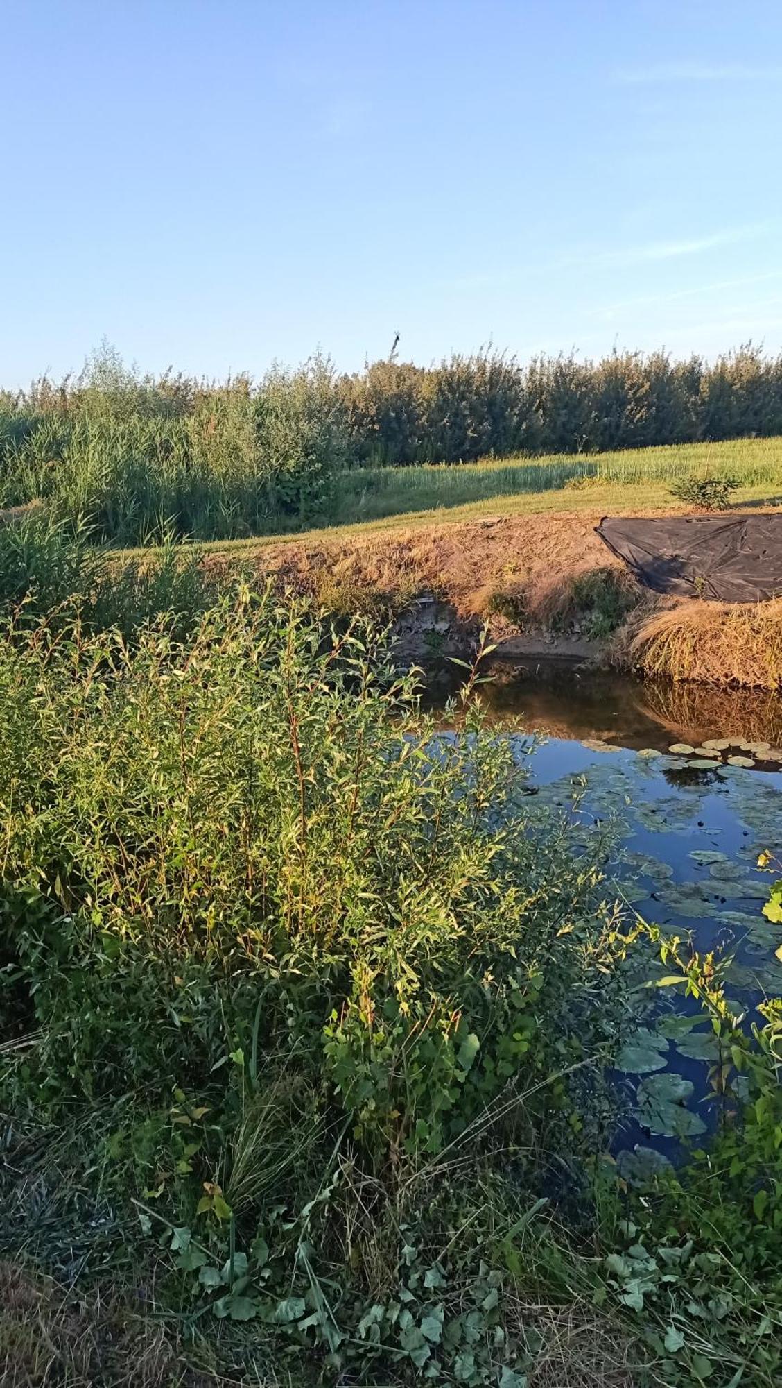 شقة Ostoja Czersk Zamek Gora Kalwaria المظهر الخارجي الصورة